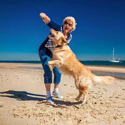 Waarom zijn dieren goed voor ouderen?